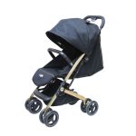کالسکه مینی پرو دلیجان DELIJAN MINI PRO