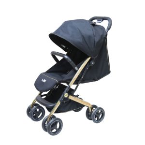 کالسکه مینی پرو دلیجان DELIJAN MINI PRO