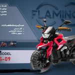 موتور شارژی فلامینگو flamingo مدل  DLS-09