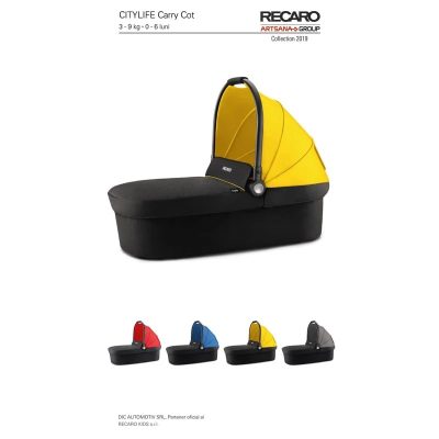 ساک حمل نوزاد (کریکات) مدل Citylife Carrycot برند ریکارو Recaro