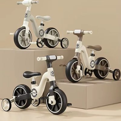 دو چرخه تعادلی برند چیکاگو _Chicago