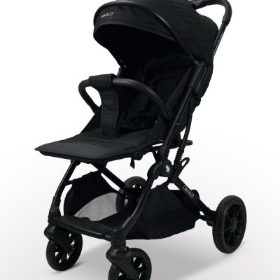 کالسکه کالوالو cavalo 1848 مدل RIO