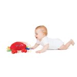 خرچنگ پولیشی موزیکال وین فان winfun کد 00155 - Image 5